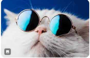 coolcat3